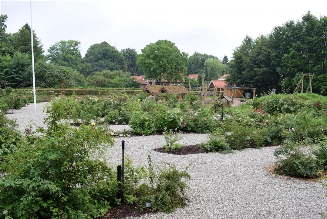 G21 1 rosenhaven  (8)